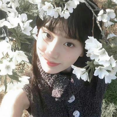 腹黑妹妹控兄记
